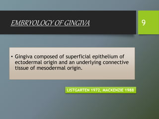 EMBRYOLOGY OF GINGIVA
• Gingiva composed of superficial epithelium of
ectodermal origin and an underlying connective
tissue of mesodermal origin.
9
LISTGARTEN 1972, MACKENZIE 1988
 