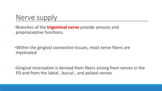 Nerve supply
•Branches of the trigeminal nerve provide sensory and
proprioceptive functions.
•Within the gingival connective tissues, most nerve fibers are
myelinated
•Gingival innervation is derived from fibers arising from nerves in the
PD and from the labial , buccal , and palatal nerves
 