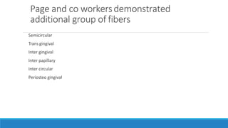 Page and co workersdemonstrated
additional group of fibers
Semicircular
Trans gingival
Inter gingival
Inter papillary
Inter circular
Periosteo gingival
 