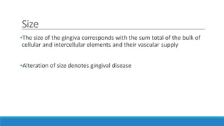 Size
•The size of the gingiva corresponds with the sum total of the bulk of
cellular and intercellular elements and their vascular supply
•Alteration of size denotes gingival disease
 