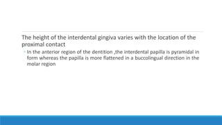 The height of the interdental gingiva varies with the location of the
proximal contact
◦ In the anterior region of the dentition ,the interdental papilla is pyramidal in
form whereas the papilla is more flattened in a buccolingual direction in the
molar region
 