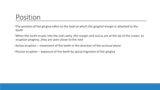 Position
•The position of the gingiva refers to the level at which the gingival margin is attached to the
tooth
•When the tooth erupts into the oral cavity ,the margin and sulcus are at the tip of the crown; as
eruption progress ,they are seen closer to the root
•Active eruption – movement of the teeth in the direction of the occlusal plane
•Passive eruption – exposure of the teeth by apical migration of the gingiva
 