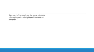 Exposure of the tooth via the apical migration
of the gingiva is called gingival recession or
atrophy
 