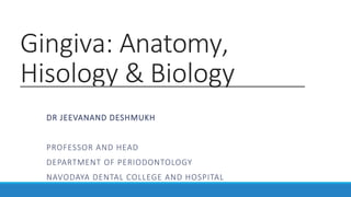 Gingiva: Anatomy,
Hisology & Biology
DR JEEVANAND DESHMUKH
PROFESSOR AND HEAD
DEPARTMENT OF PERIODONTOLOGY
NAVODAYA DENTAL COLLEGE AND HOSPITAL
 