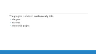 The gingiva is divided anatomically into
◦ Marginal
◦ attached
◦ Interdental gingiva
 