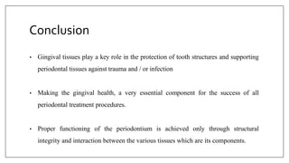 Conclusion
• Gingival tissues play a key role in the protection of tooth structures and supporting
periodontal tissues against trauma and / or infection
• Making the gingival health, a very essential component for the success of all
periodontal treatment procedures.
• Proper functioning of the periodontium is achieved only through structural
integrity and interaction between the various tissues which are its components.
 