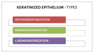 KERATINIZED EPITHELIUM -TYPES
ORTHOKERATINIZATION
PARAKERATINIZATION
1.NONKERATINIZATION
 