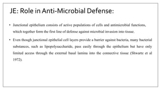 JE: Role in Anti-Microbial Defense:
• Junctional epithelium consists of active populations of cells and antimicrobial functions,
which together form the first line of defense against microbial invasion into tissue.
• Even though junctional epithelial cell layers provide a barrier against bacteria, many bacterial
substances, such as lipopolysaccharide, pass easily through the epithelium but have only
limited access through the external basal lamina into the connective tissue (Shwartz et al
1972).
 