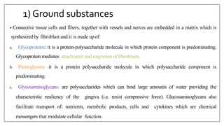 1) Ground substances
• Connective tissue cells and fibers, together with vessels and nerves are embedded in a matrix which is
synthesized by fibroblast and it is made upof:
a. Glycoproteins: it is a protein-polysaccharide molecule in which protein component is predominating.
Glycoprotein mediates attachment and migration of fibroblasts.
b. Proteoglycans: it is a protein polysaccharide molecule in which polysaccharide component is
predominating.
c. Glycosaminoglycans: are polysaccharides which can bind large amounts of water providing the
characteristic resiliency of the gingiva (i.e. resist compressive force). Glucosaminoglycans also
facilitate transport of: nutrients, metabolic products, cells and cytokines which are chemical
messengers that modulate cellular function.
 