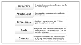 • Originates from cementum and spreads laterally
into lamina propria
Dentogingival
• Orginates from periosteum and spreads into
lamina propria
Alveologingival
• Originates from cementum near CEJ into
periosteum of alveolar crest
Dentoperiosteal
• Originates from within the free marginal and
attached gingiva coronal to alveolar crest and
encircles each tooth
Circular
• Originates from interproximal cementum coronal
to crest and courses mesially and distally in the
interdental area into cementum of adjacent teeth
Transseptal
 