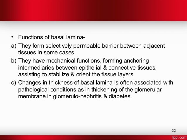 gingiva in health and disease 22 638