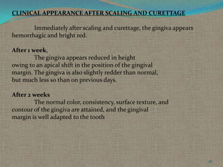 CLINICAL APPEARANCE AFTER SCALING AND CURETTAGE
Immediately after scaling and curettage, the gingiva appears
hemorrhagic and bright red.
After 1 week,
The gingiva appears reduced in height
owing to an apical shift in the position of the gingival
margin. The gingiva is also slightly redder than normal,
but much less so than on previous days.
After 2 weeks
The normal color, consistency, surface texture, and
contour of the gingiva are attained, and the gingival
margin is well adapted to the tooth

28

 