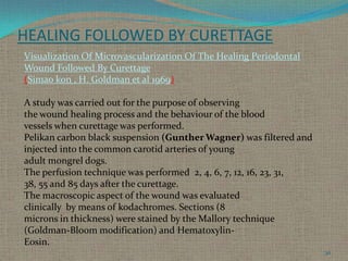 HEALING FOLLOWED BY CURETTAGE
Visualization Of Microvascularization Of The Healing Periodontal
Wound Followed By Curettage
(Simao kon , H. Goldman et al 1969)
A study was carried out for the purpose of observing
the wound healing process and the behaviour of the blood
vessels when curettage was performed.
Pelikan carbon black suspension (Gunther Wagner) was filtered and
injected into the common carotid arteries of young
adult mongrel dogs.
The perfusion technique was performed 2, 4, 6, 7, 12, 16, 23, 31,
38, 55 and 85 days after the curettage.
The macroscopic aspect of the wound was evaluated
clinically by means of kodachromes. Sections (8
microns in thickness) were stained by the Mallory technique
(Goldman-Bloom modification) and HematoxylinEosin.
30

 