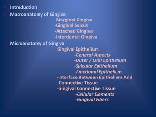 • Introduction
• Macroanatomy of Gingiva
-Marginal Gingiva
-Gingival Sulcus
-Attached Gingiva
-Interdental Gingiva
• Microanatomy of Gingiva
-Gingival Epithelium
-General Aspects
-Outer / Oral Epithelium
-Sulcular Epithelium
-Junctional Epithelium
-Interface Between Epithelium And
Connective Tissue
-Gingival Connective Tissue
-Cellular Elements
-Gingival Fibers
 