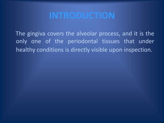 INTRODUCTION
The gingiva covers the alveolar process, and it is the
only one of the periodontal tissues that under
healthy conditions is directly visible upon inspection.
 