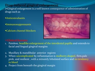 Drug-induced gingival enlargement
Gingival enlargement is a well known consequence of administration of
drugs such as
Anticonvulsants
Immunosuppressants
Calcium channel blockers
Clinical features
1. Painless, beadlike enlargement of the interdental papilla and extends to
facial and lingual gingival margins
2. Maxillary & mandibular anterior regions
3. When uncomplicated by inflammation is mulberry shaped, firm,pale
pink, and resilient , with a minutely lobulated surface and no tendancy
to bleed
4. Project from beneath the gingival margin
 