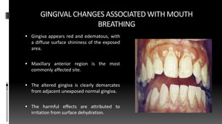GINGIVAL CHANGES ASSOCIATED WITH MOUTH
BREATHING
 Gingiva appears red and edematous, with
a diffuse surface shininess of the exposed
area.
 Maxillary anterior region is the most
commonly affected site.
 The altered gingiva is clearly demarcates
from adjacent unexposed normal gingiva.
 The harmful effects are attributed to
irritation from surface dehydration.
 