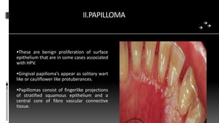 II.PAPILLOMA
These are benign proliferation of surface
epithelium that are in some cases associated
with HPV.
Gingival papilloma’s appear as solitary wart
like or cauliflower like protuberances.
Papillomas consist of fingerlike projections
of stratified squamous epithelium and a
central core of fibro vascular connective
tissue.
 