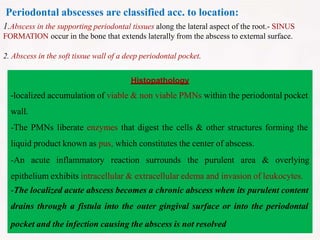 Periodontal abscesses are classified acc. to location:
1.Abscess in the supporting periodontal tissues along the lateral aspect of the root.- SINUS
FORMATION occur in the bone that extends laterally from the abscess to external surface.
2. Abscess in the soft tissue wall of a deep periodontal pocket.
Histopathology
-localized accumulation of viable & non viable PMNs within the periodontal pocket
wall.
-The PMNs liberate enzymes that digest the cells & other structures forming the
liquid product known as pus, which constitutes the center of abscess.
-An acute inflammatory reaction surrounds the purulent area & overlying
epithelium exhibits intracellular & extracellular edema and invasion of leukocytes.
-The localized acute abscess becomes a chronic abscess when its purulent content
drains through a fistula into the outer gingival surface or into the periodontal
pocket and the infection causing the abscess is not resolved
 