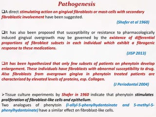 Pathogenesis
A direct stimulating action on gingival fibroblasts or mast-cells with secondary
fibroblastic involvement have been suggested.
(Shafer et al 1960)
It has also been proposed that susceptibility or resistance to pharmacologically
induced gingival overgrowth may be governed by the existence of differential
proportions of fibroblast subsets in each individual which exhibit a fibrogenic
response to these medications.
(JISP 2013)
It has been hypothesized that only few subsets of patients on phenytoin develop
enlargement. These individuals have fibroblasts with abnormal susceptibility to drug.
Also fibroblasts from overgrown gingiva in phenytoin treated patients are
characterized by elevated levels of proteins, esp. Collagen.
(J Periodontol 2004)
Tissue culture experiments by Shafer in 1960 indicate that phenytoin stimulates
proliferation of fibroblast-like cells and epithelium.
Two analogues of phenytoin (l-allyl-5-phenylhydantoinate and 5-methyl-5-
phenylhydantoinate) have a similar effect on fibroblast-like cells.
 