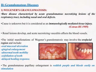 B) Granulomatous Diseases
1) WEGENER'S GRANULOMATOSIS:
•Rare disease characterized by acute granulomatous necrotizing lesions of the
respiratory tract, including nasal and oral defects.
•Cause is unknown but it is considered as an immunologically mediated tissue injury.
(Cotran RS 1989)
• Renal lesions develop, and acute necrotizing vasculitis affects the blood vessels.
•The initial manifestations of Wegener’s granulomatosis may involve the orofacial
region and include:
-oral mucosal ulceration
-gingival enlargement
-abnormal tooth mobility
-exfoliation of teeth
-delayed healing response.
• The granulomatous papillary enlargement is reddish purple and bleeds easily on
stimulation
 