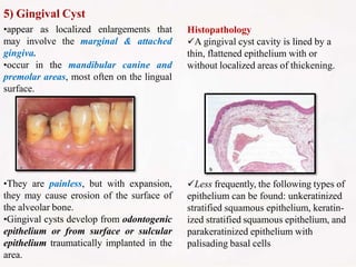 5) Gingival Cyst
•appear as localized enlargements that
may involve the marginal & attached
gingiva.
•occur in the mandibular canine and
premolar areas, most often on the lingual
surface.
•They are painless, but with expansion,
they may cause erosion of the surface of
the alveolar bone.
•Gingival cysts develop from odontogenic
epithelium or from surface or sulcular
epithelium traumatically implanted in the
area.
Histopathology
A gingival cyst cavity is lined by a
thin, flattened epithelium with or
without localized areas of thickening.
Less frequently, the following types of
epithelium can be found: unkeratinized
stratified squamous epithelium, keratin-
ized stratified squamous epithelium, and
parakeratinized epithelium with
palisading basal cells
 