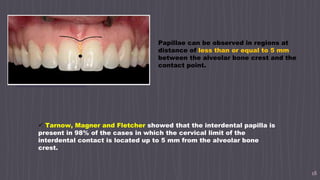 18
Papillae can be observed in regions at
distance of less than or equal to 5 mm
between the alveolar bone crest and the
contact point.
 Tarnow, Magner and Fletcher showed that the interdental papilla is
present in 98% of the cases in which the cervical limit of the
interdental contact is located up to 5 mm from the alveolar bone
crest.
 
