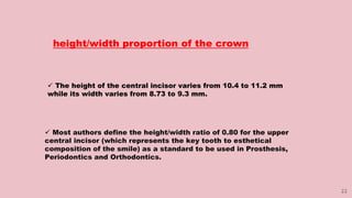 22
 The height of the central incisor varies from 10.4 to 11.2 mm
while its width varies from 8.73 to 9.3 mm.
 Most authors define the height/width ratio of 0.80 for the upper
central incisor (which represents the key tooth to esthetical
composition of the smile) as a standard to be used in Prosthesis,
Periodontics and Orthodontics.
height/width proportion of the crown
 