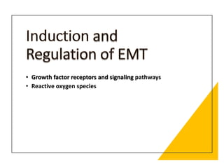 • Growth factor receptors and signaling pathways
• Reactive oxygen species
 