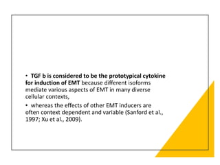 • TGF b is considered to be the prototypical cytokine
for induction of EMT because different isoforms
mediate various aspects of EMT in many diverse
cellular contexts,
• whereas the effects of other EMT inducers are
often context dependent and variable (Sanford et al.,
1997; Xu et al., 2009).
 