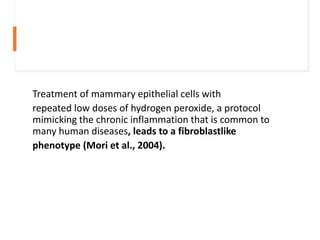 Treatment of mammary epithelial cells with
repeated low doses of hydrogen peroxide, a protocol
mimicking the chronic inflammation that is common to
many human diseases, leads to a fibroblastlike
phenotype (Mori et al., 2004).
 