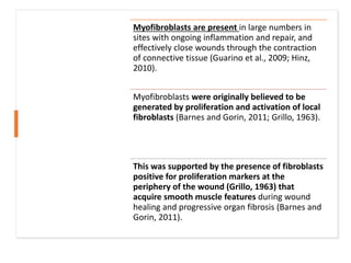 Myofibroblasts are present in large numbers in
sites with ongoing inflammation and repair, and
effectively close wounds through the contraction
of connective tissue (Guarino et al., 2009; Hinz,
2010).
Myofibroblasts were originally believed to be
generated by proliferation and activation of local
fibroblasts (Barnes and Gorin, 2011; Grillo, 1963).
This was supported by the presence of fibroblasts
positive for proliferation markers at the
periphery of the wound (Grillo, 1963) that
acquire smooth muscle features during wound
healing and progressive organ fibrosis (Barnes and
Gorin, 2011).
 