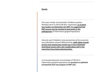Results:
The mean number of vimentin& E-Chadherin positive
fibroblast were 51.43% & 48.56%, respectively, so as these
two markers are biomarkers for EMT, it is suggested that
EMT process may be involved at least partly in the
pathogenesis of inflammatory gingival hyperplasia.
Vimentin and E-Chadherin immunoreactivity of the connective
tissue fibroblasts showed 100% positivity, while Alpha smooth
muscle actin staining was mostly seen in the endothelial
lined blood vessels with a few myofibroblast with in the
connective tissue being stained positive.
so increased expression and activation of TGF-B1 in
inflammatory gingival hyperplasia (14) promote an epithelial
cell plasticity that may progress to EMT [15].
 