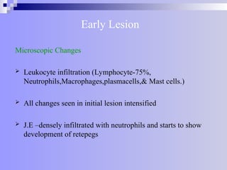 Early Lesion
Microscopic Changes
 Leukocyte infiltration (Lymphocyte-75%,
Neutrophils,Macrophages,plasmacells,& Mast cells.)
 All changes seen in initial lesion intensified
 J.E –densely infiltrated with neutrophils and starts to show
development of retepegs
 