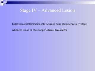 Stage IV – Advanced Lesion
Extension of inflammation into Alveolar bone characterizes a 4th
stage –
advanced lesion or phase of periodontal breakdown.
 