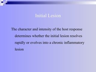 Initial Lesion
The character and intensity of the host response
determines whether the initial lesion resolves
rapidly or evolves into a chronic inflammatory
lesion
 