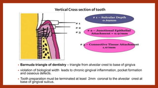 • Barmuda triangle of dentistry – triangle from alveolar crest to base of gingiva
• violation of biological width leads to chronic gingival inflammation, pocket formation
and osseous defects.
• Tooth preparation must be terminated at least 2mm coronal to the alveolar crest at
base of gingival sulcus.
Vertical Cross section of tooth
 