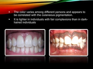  The color varies among different persons and appears to
be correlated with the cutaneous pigmentation.
 It is lighter in individuals with fair complexions than in dark-
haired individuals
 