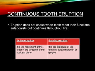 CONTINUOUS TOOTH ERUPTION
• Eruption does not cease when teeth meet their functional
antagonists but continues throughout life.
Active eruption Passive eruption
It is the movement of the
teeth in the direction of the
occlusal plane
It is the exposure of the
teeth by apical migration of
gingiva
 
