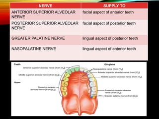 NERVE SUPPLY TO
ANTERIOR SUPERIOR ALVEOLAR
NERVE
facial aspect of anterior teeth
POSTERIOR SUPERIOR ALVEOLAR
NERVE
facial aspect of posterior teeth
GREATER PALATINE NERVE lingual aspect of posterior teeth
NASOPALATINE NERVE lingual aspect of anterior teeth
 