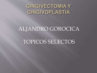 ALJANDRO GOROCICA 
TOPICOS SELECTOS 
 