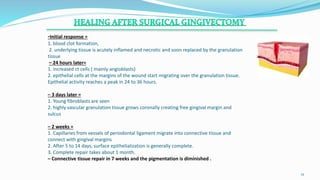 -Initial response =
1. blood clot formation,
2. underlying tissue is acutely inflamed and necrotic and soon replaced by the granulation
tissue
– 24 hours later=
1. increased ct cells ( mainly angioblasts)
2. epithelial cells at the margins of the wound start migrating over the granulation tissue.
Epithelial activity reaches a peak in 24 to 36 hours.
– 3 days later =
1. Young fibroblasts are seen
2. highly vascular granulation tissue grows coronally creating free gingival margin and
sulcus
– 2 weeks =
1. Capillaries from vessels of periodontal ligament migrate into connective tissue and
connect with gingival margins
2. After 5 to 14 days, surface epithelialization is generally complete.
3. Complete repair takes about 1 month.
– Connective tissue repair in 7 weeks and the pigmentation is diminished .
.
12
 