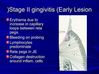 Stage II gingivitis (Early LesionStage II gingivitis (Early Lesion))
Erythema due toErythema due to
increase in capillaryincrease in capillary
loops between reteloops between rete
pegs.pegs.
Bleeding on probingBleeding on probing
LymphocytesLymphocytes
predominatepredominate
Rete pegs in JERete pegs in JE
Collagen destructionCollagen destruction
around inflam. cellsaround inflam. cells
 