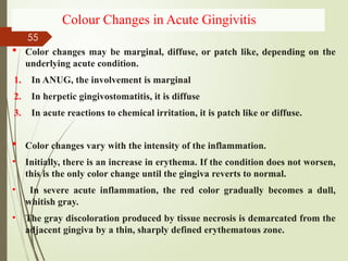 gingivitis- sem 6.pptxNBNBNBNBNNBBNBNBNBNB | PPTX