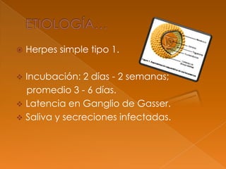  Herpes simple tipo 1.
 Incubación: 2 días - 2 semanas;
promedio 3 - 6 días.
 Latencia en Ganglio de Gasser.
 Saliva y secreciones infectadas.
 