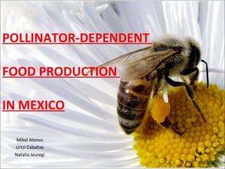 POLLINATOR-DEPENDENT  FOOD PRODUCTION  IN MEXICO Mikel Alonso Urtzi Cabañas Natalia Jauregi 