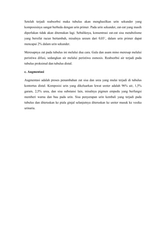 Setelah terjadi reabsorbsi maka tubulus akan menghasilkan urin sekunder yang
komposisinya sangat berbeda dengan urin primer. Pada urin sekunder, zat-zat yang masih
diperlukan tidak akan ditemukan lagi. Sebaliknya, konsentrasi zat-zat sisa metabolisme
yang bersifat racun bertambah, misalnya ureum dari 0,03`, dalam urin primer dapat
mencapai 2% dalam urin sekunder.

Meresapnya zat pada tubulus ini melalui dua cara. Gula dan asam mino meresap melalui
peristiwa difusi, sedangkan air melalui peristiwa osmosis. Reabsorbsi air terjadi pada
tubulus proksimal dan tubulus distal.

c. Augmentasi

Augmentasi adalah proses penambahan zat sisa dan urea yang mulai terjadi di tubulus
kontortus distal. Komposisi urin yang dikeluarkan lewat ureter adalah 96% air, 1,5%
garam, 2,5% urea, dan sisa substansi lain, misalnya pigmen empedu yang berfungsi
memberi warna dan bau pada urin. Sisa penyerapan urin kembali yang terjadi pada
tubulus dan diteruskan ke piala ginjal selanjutnya diteruskan ke ureter masuk ke vesika
urinaria.
 