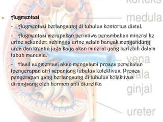 c.   Augmentasi
     - Augmentasi berlangsung di tubulus kontortus distal.
     - Augmentasi merupakan peristiwa penambahan mineral ke
     urine sekunder, sehingga urine selain banyak mengandung
     urea dan kreatin juga kaya akan mineral yang berlebih dalam
     tubuh manusia.
     - Hasil augmentasi akan mengalami proses pemekatan
     (penyerapan air) sepanjang tubulus kolektivus. Proses
     penyerapan yang berlangsung di tubulus kolektivus
     dirangsang oleh hormon anti diuretika
 