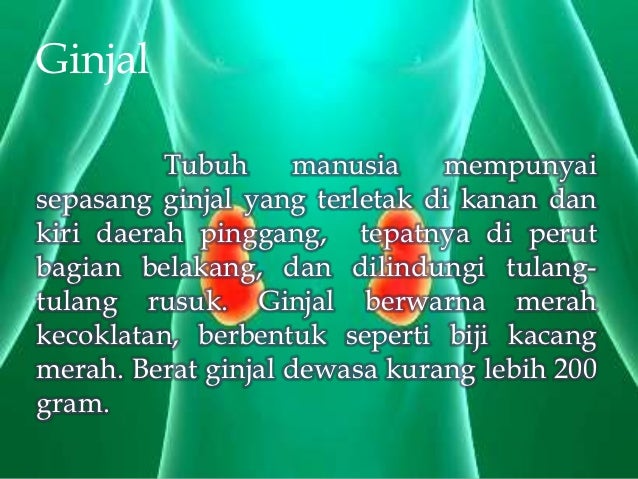 Ginjal