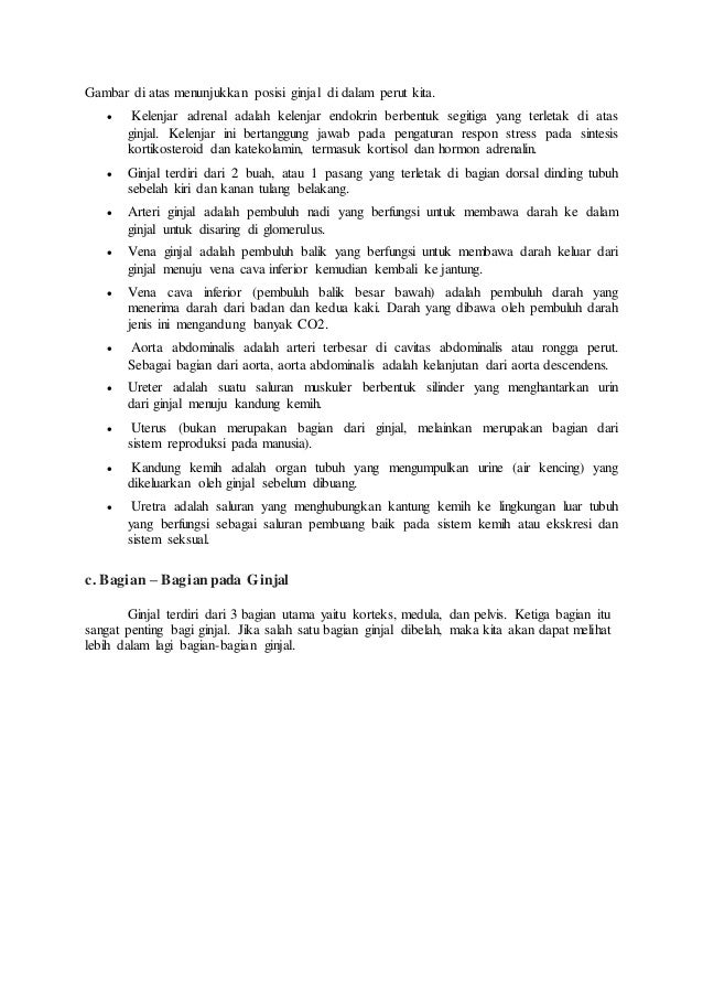 Unduh 44 Gambar Ginjal Yang Dibelah Keren 